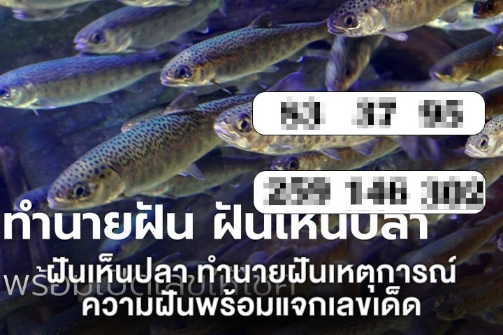 ฝันเห็นปลา ทำนายฝันเหตุการณ์ความฝัน พร้อมแจกเลขเด็ด