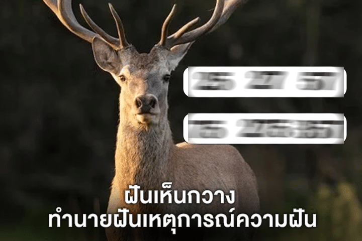 ฝันเห็นกวาง ทำนายฝันเหตุการณ์ความฝัน