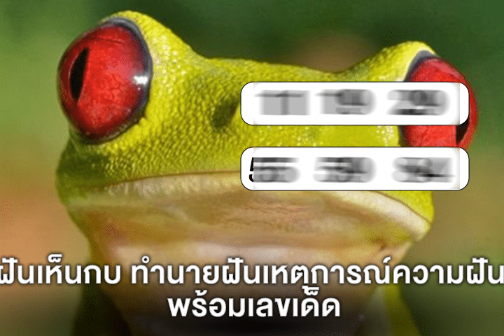 ฝันเห็นกบ ทำนายฝันเหตุการณ์ความฝัน พร้อมเลขเด็ด